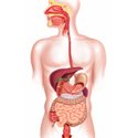 Gastroenterology