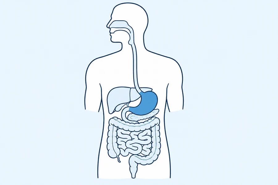 Gastroenterology