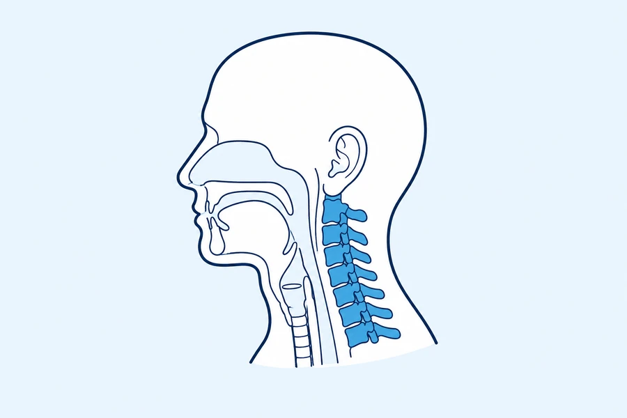 Head and Neck