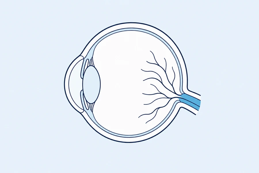 Ophthalmology